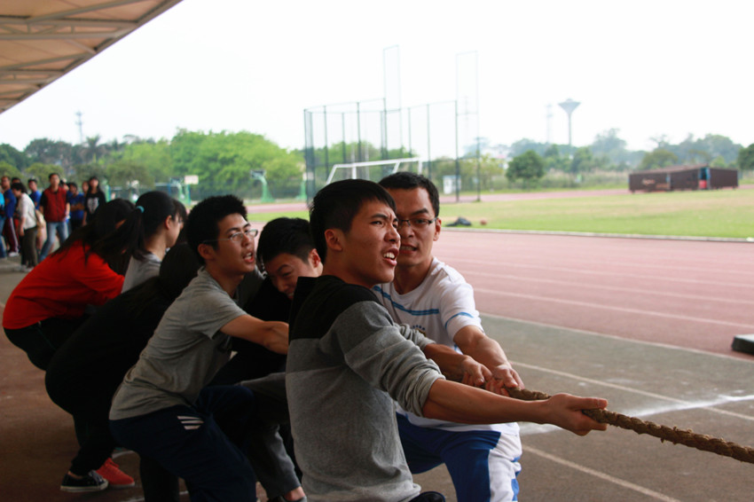 点此在新窗口浏览图片